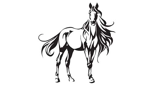 Вторая конференция Медицинской Палаты Республики Башкортостан