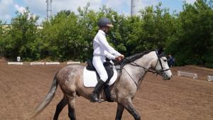 Чемпионат и Первенство РБ по паравыездке