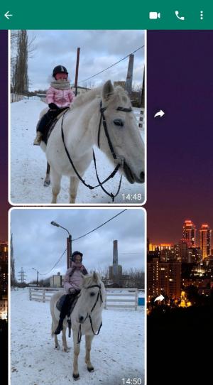 Курс занятий оплаченный Благотворительным фондом "Потерь Нет"