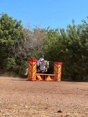 Закрытые соревнования по конному спорту 2022