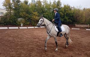 Чемпионат Республики Башкортостан по паралимпийской выездке