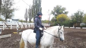 Чемпионат по конному спорту ЛИН