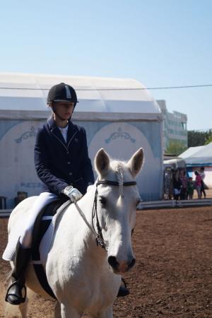 Первенство Кировского р-на по конному спорту